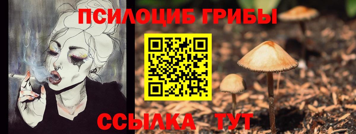 Галлюциногенные грибы прущие грибы  Вход с VPN  Березники 