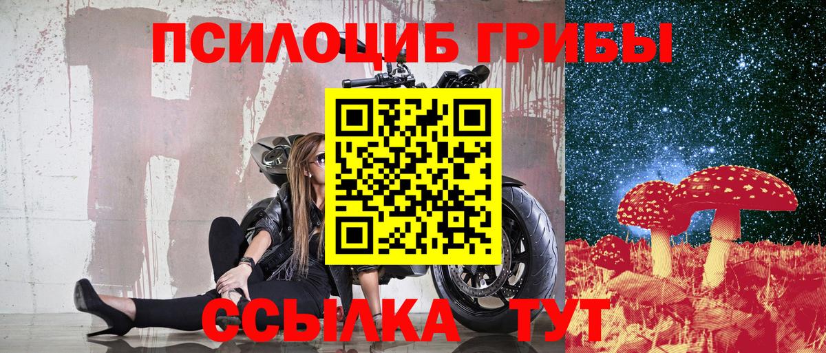 Псилоцибиновые грибы мицелий Березники